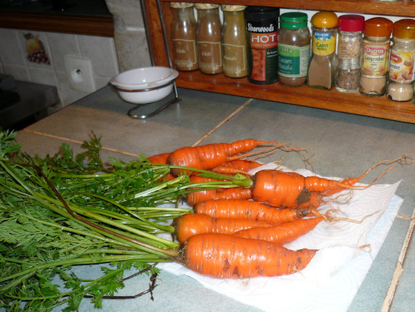 Carrots - tasted great as well